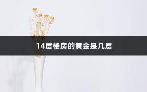 14层楼房的黄金是几层(电梯房选楼层应考虑哪些问题呢)