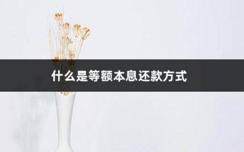 什么是等额本息还款方式(30年等额本息提前还款技巧)