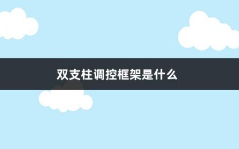 双支柱调控框架是什么(双支柱调控框架的意义)