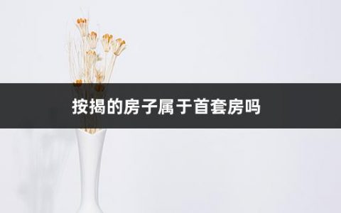 按揭的房子属于首套房吗(买房要注意什么细节)