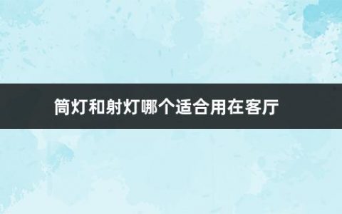 筒灯和射灯哪个适合用在客厅(客厅无主灯设计筒灯与射灯的区别图片)