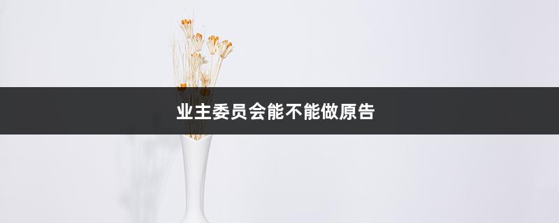 业主委员会能不能做原告