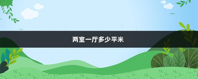 两室一厅多少平米