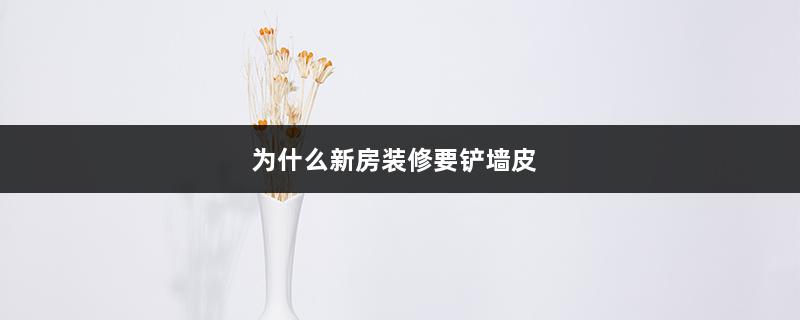 为什么新房装修要铲墙皮