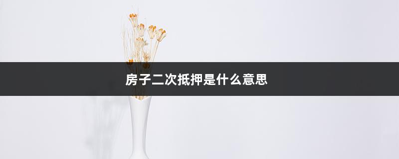 房子二次抵押是什么意思