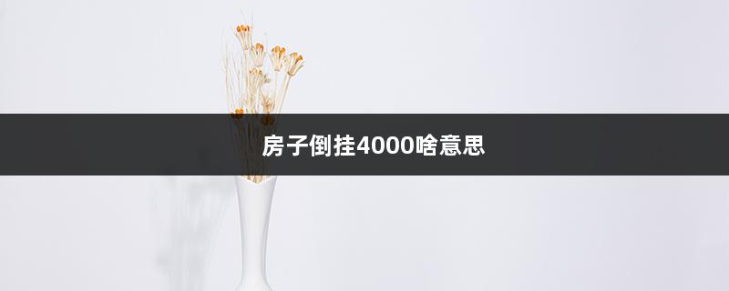 房子倒挂4000啥意思