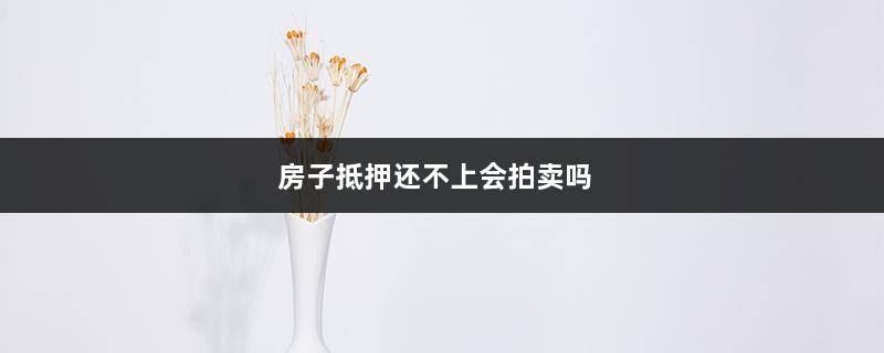 房子抵押还不上会拍卖吗