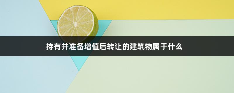 持有并准备增值后转让的建筑物属于什么