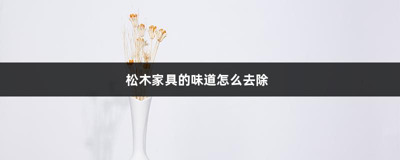 松木家具的味道怎么去除