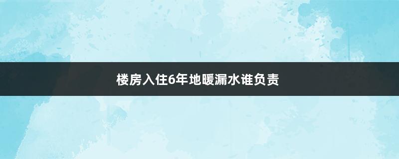 楼房入住6年地暖漏水谁负责