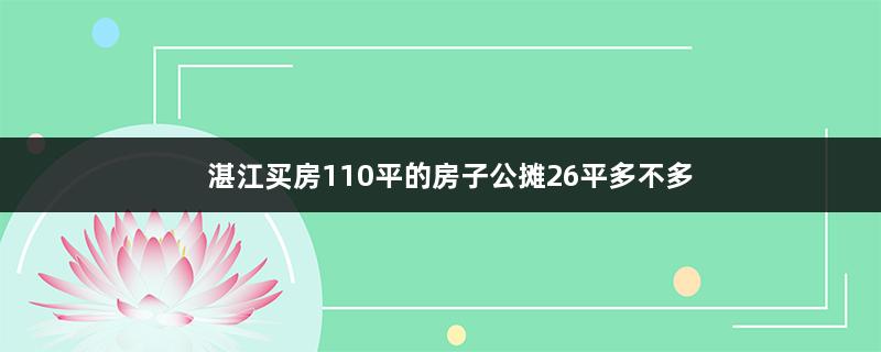 湛江买房110平的房子公摊26平多不多