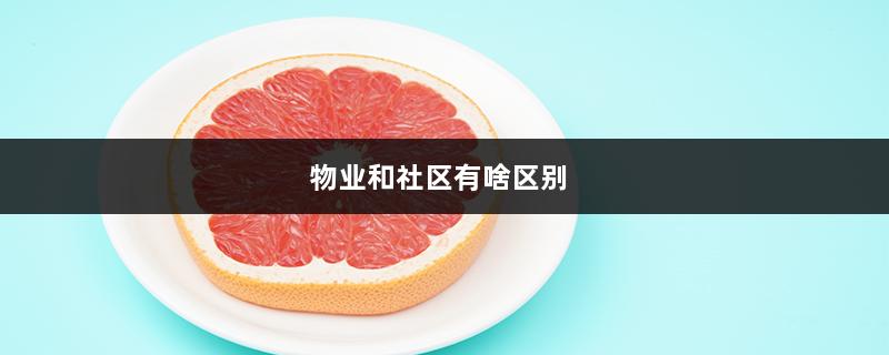 物业和社区有啥区别